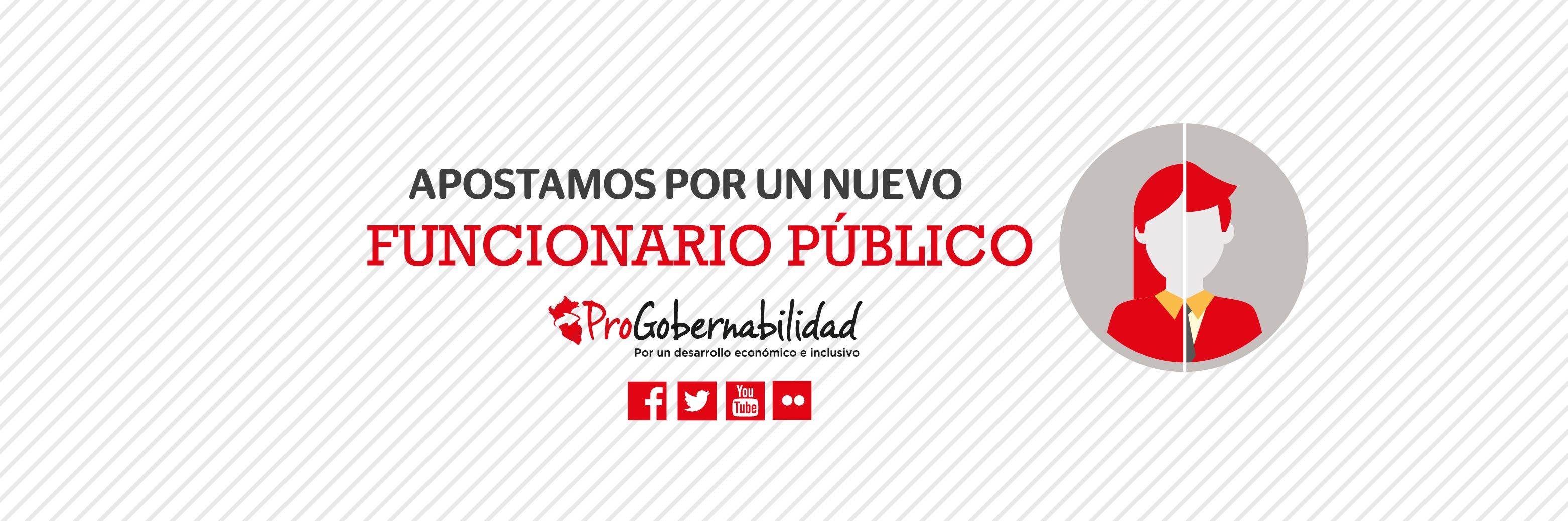 ProGobernabilidad banner