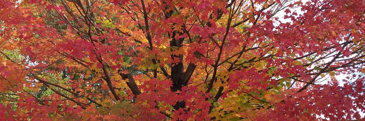 Valeriie9725's profile banner image