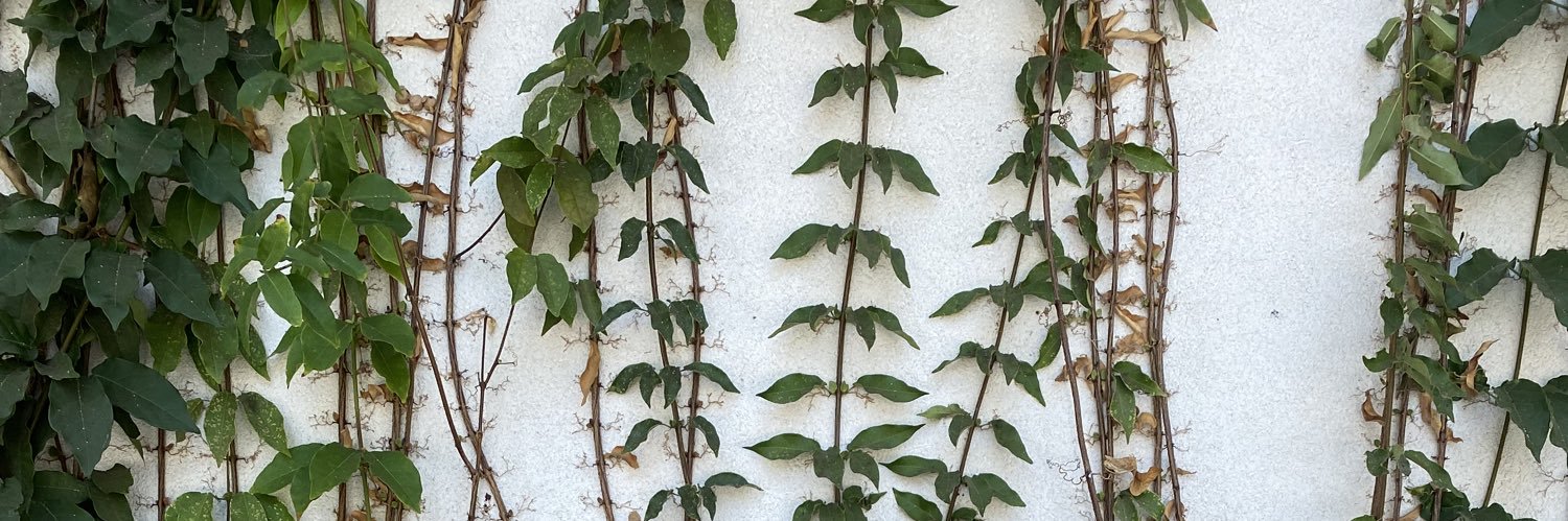 Taylor Anderson banner