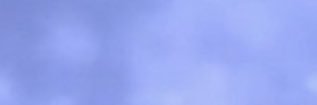 stelenanoir's profile banner image
