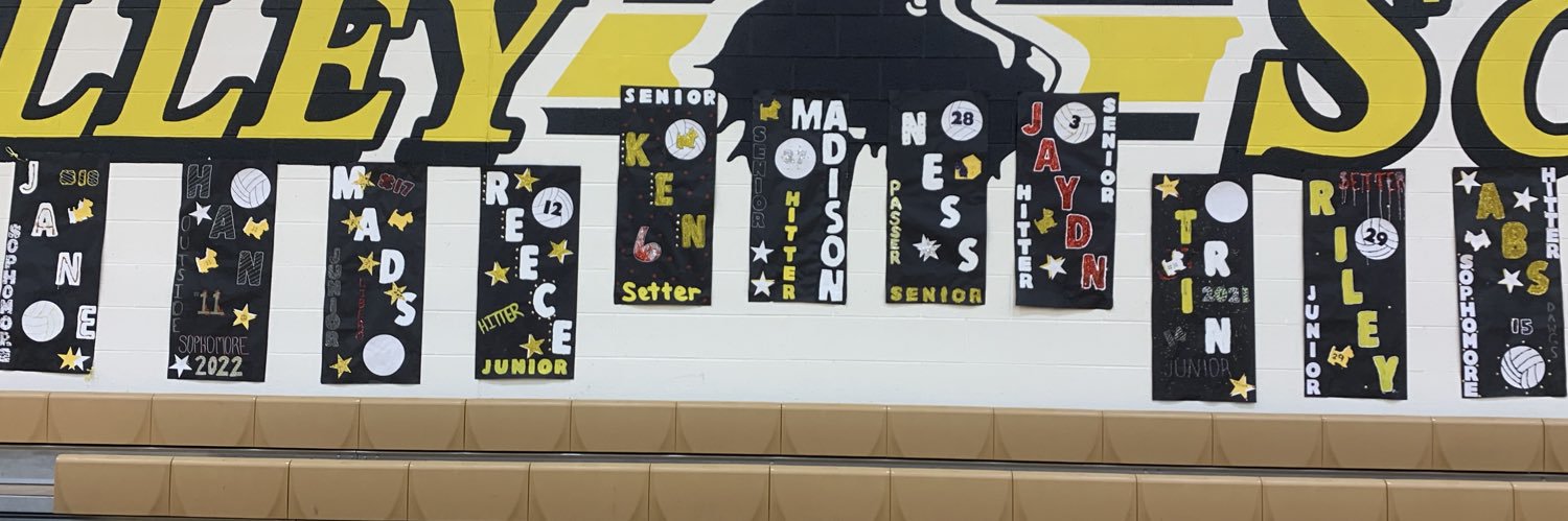 Tri Valley Volleyball banner