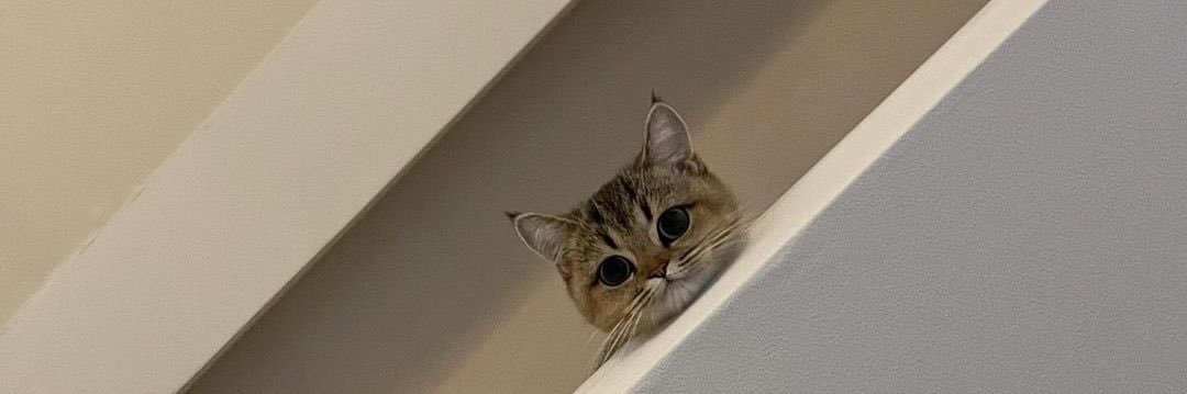 Neko banner