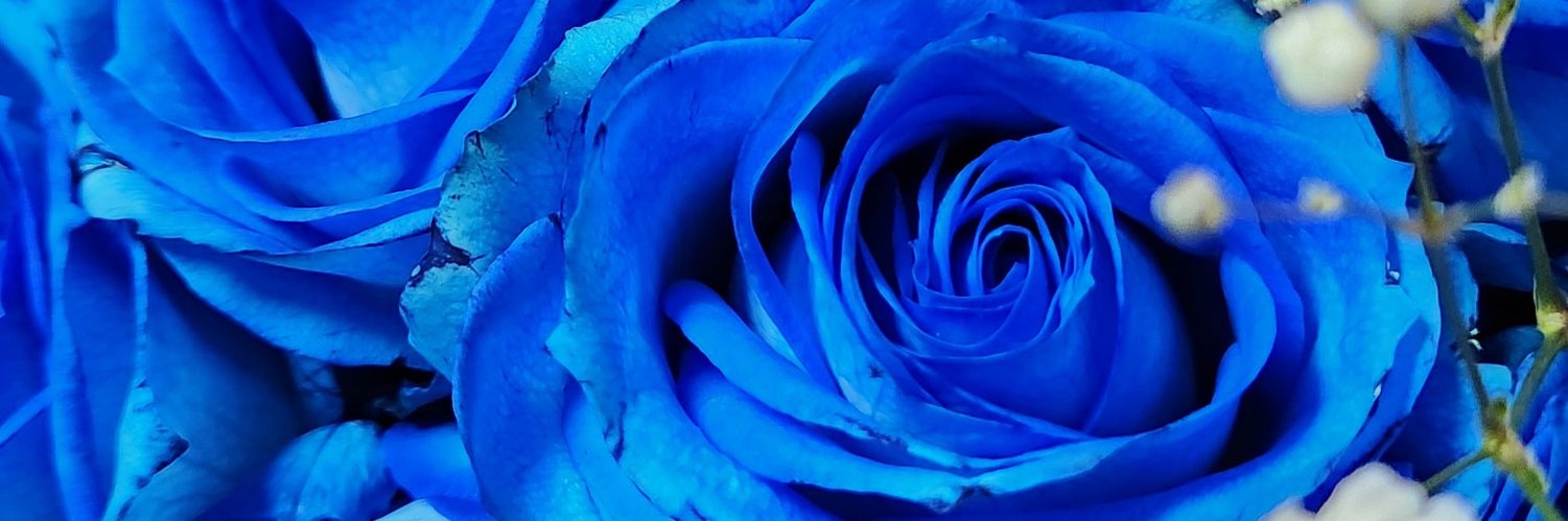 samsoledad's profile banner image