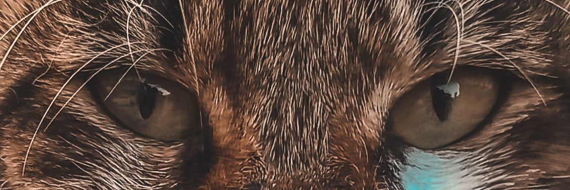 Johnnymartins_'s profile banner image