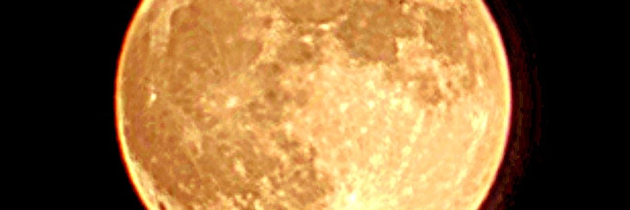CorneMilo's profile banner image