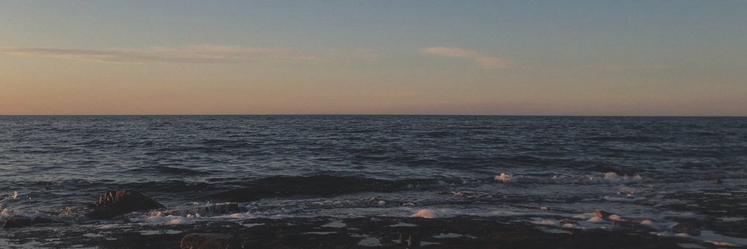 a n n i e banner