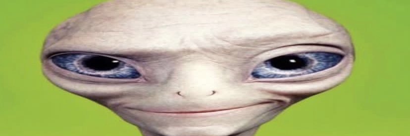walaleishon's profile banner image