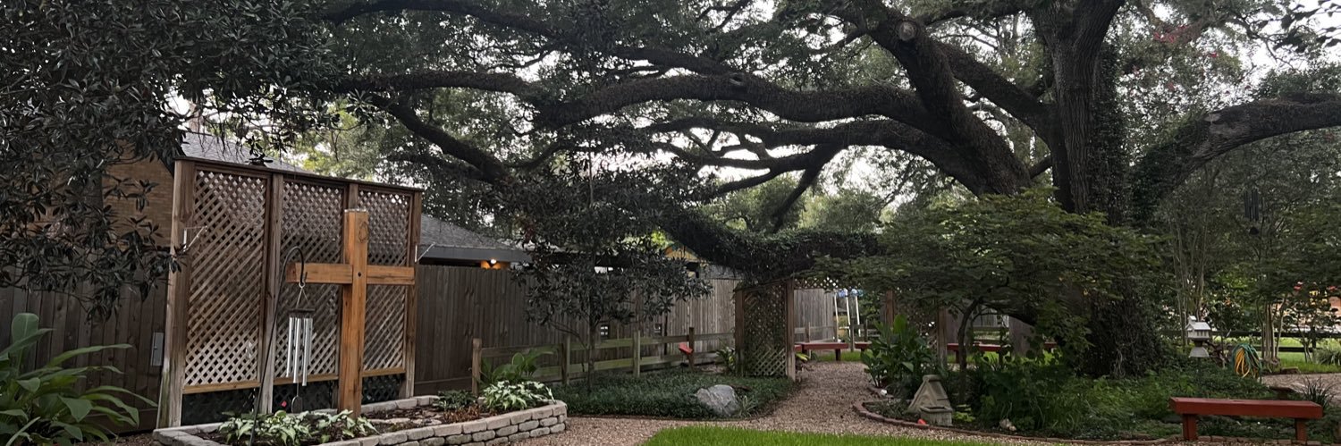 Dr.TropicalStorm Emmy banner