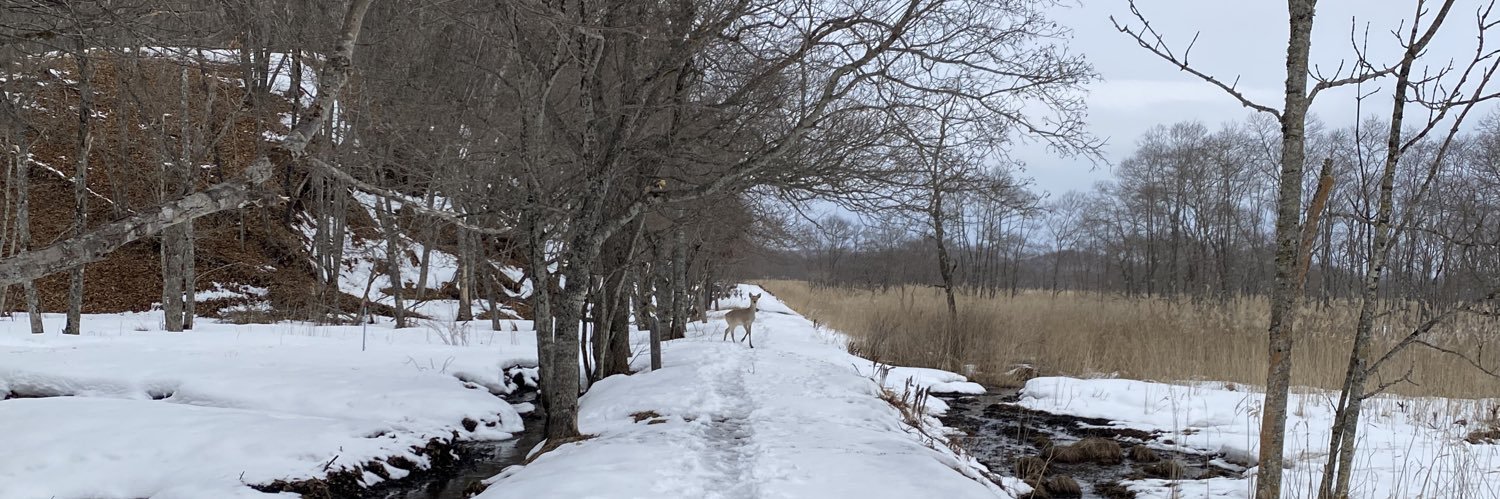 咲宮🌻5/6東7H59b banner