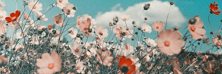 13Dianag's profile banner image