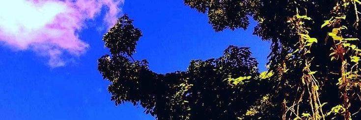p33yd's profile banner image