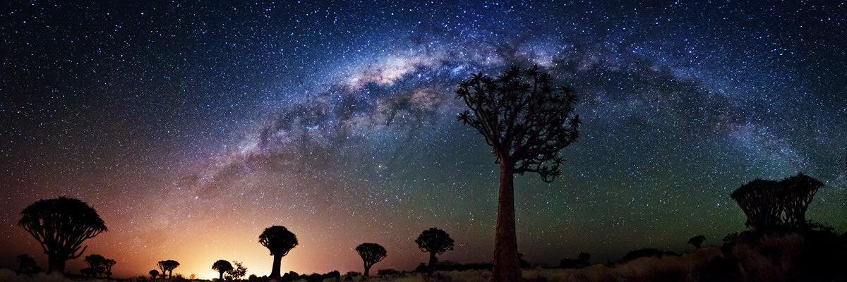 Vignesh1214's profile banner image