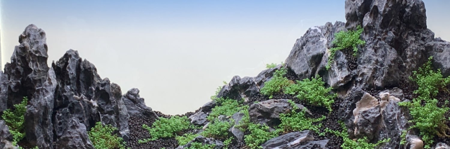 SadoAqua's profile banner image