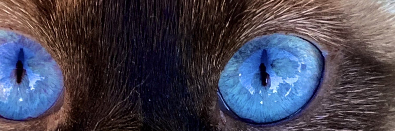 rochimackay's profile banner image