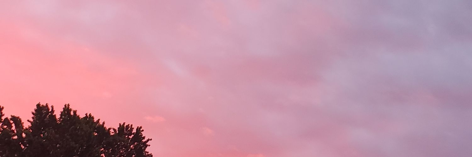 PatchworkWitch_'s profile banner image