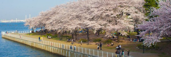 narinariography Profile Banner