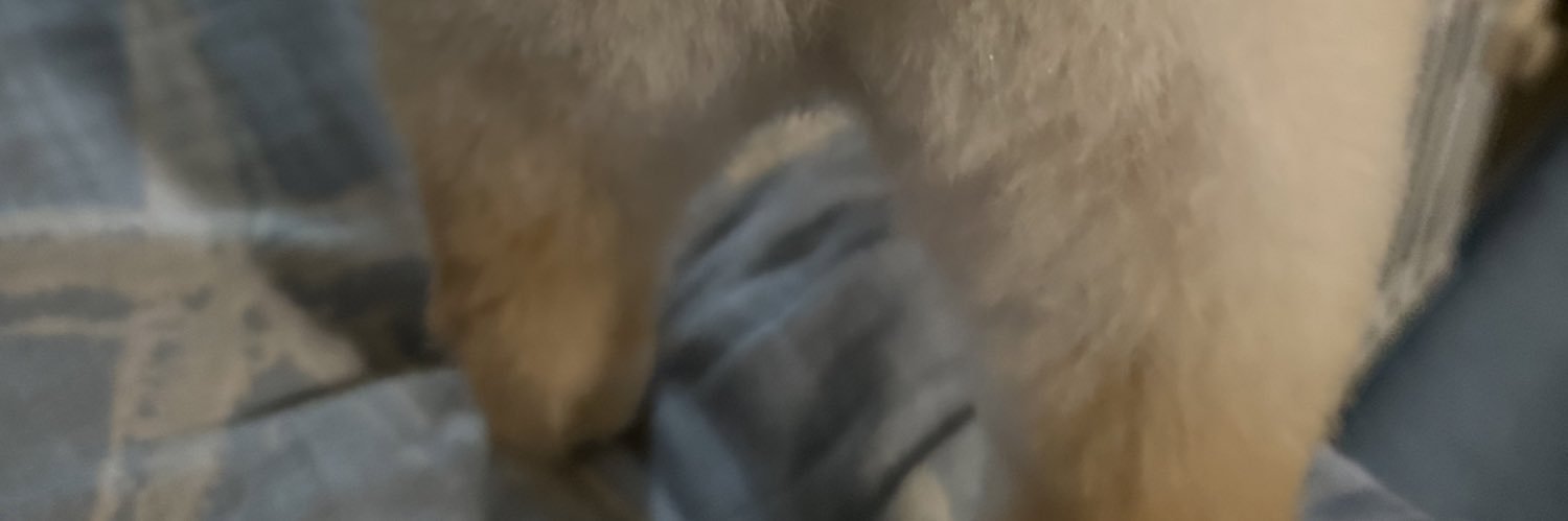 BoyyXv's profile banner image