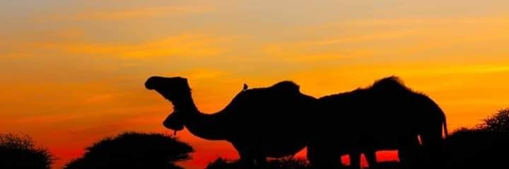 MRooble3's profile banner image