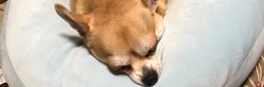 kirin1296's profile banner image