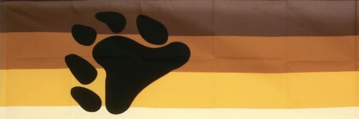 SFSilverMan's profile banner image