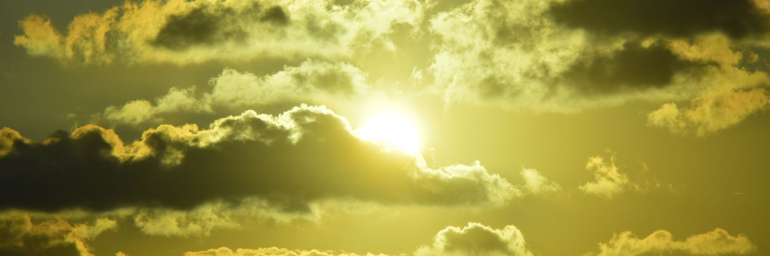 CamiMenegozzo's profile banner image