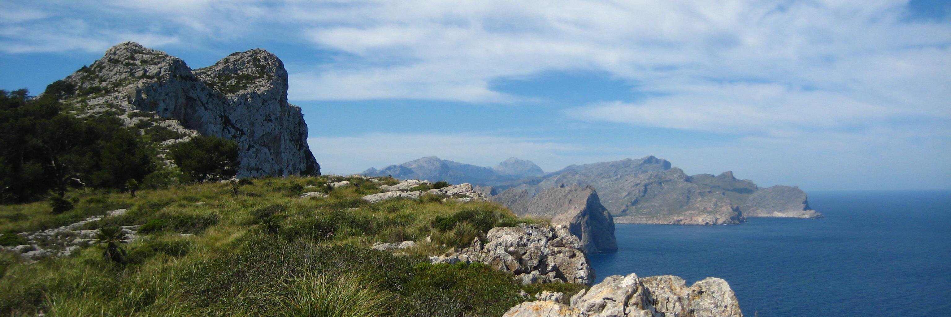 coanegra's profile banner image