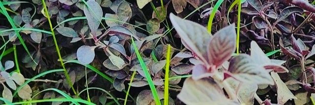 t_baba91's profile banner image
