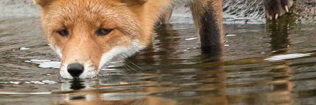 Irgendwas mit Bahn, Rettung oder Medien banner