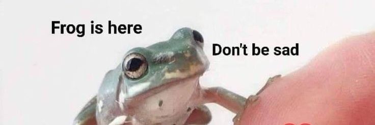 🌸 Frog girl 🌸 banner