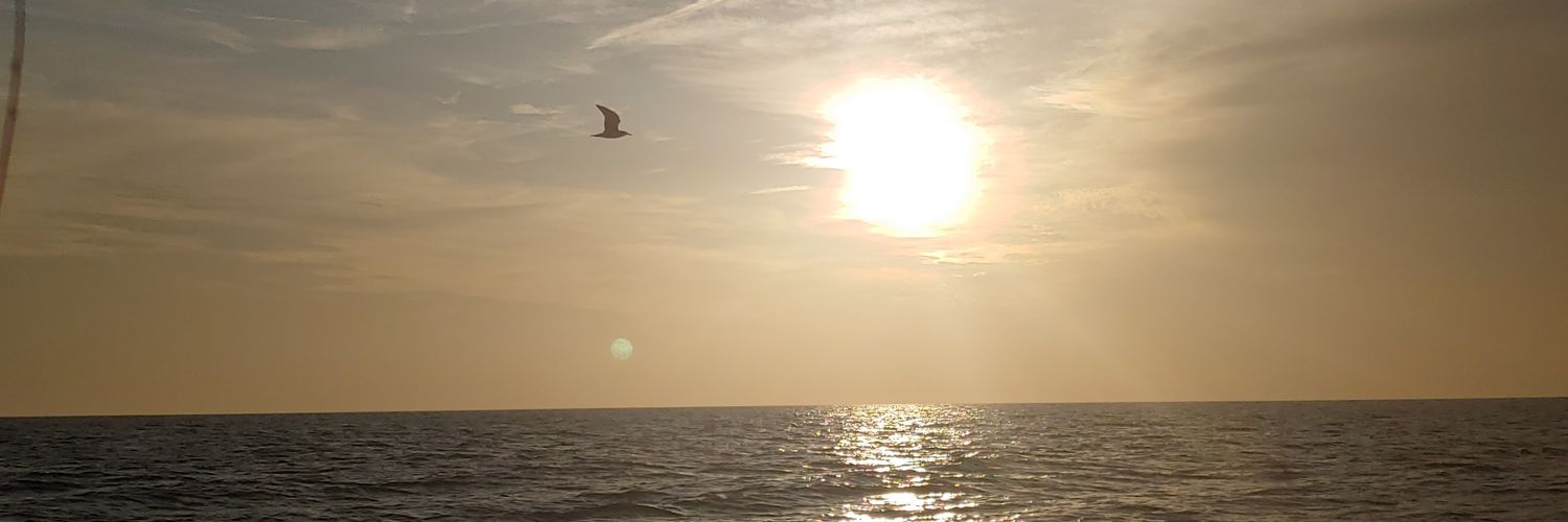 Erik Fred banner