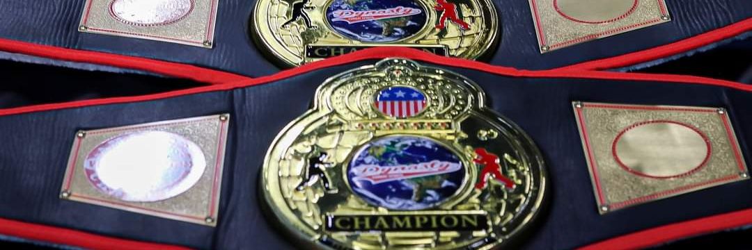 Dynasty CombatSports banner