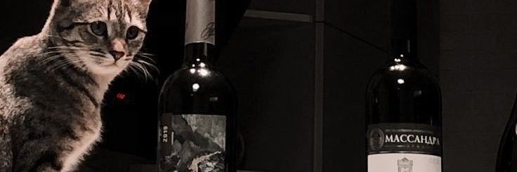 piipikuu's profile banner image