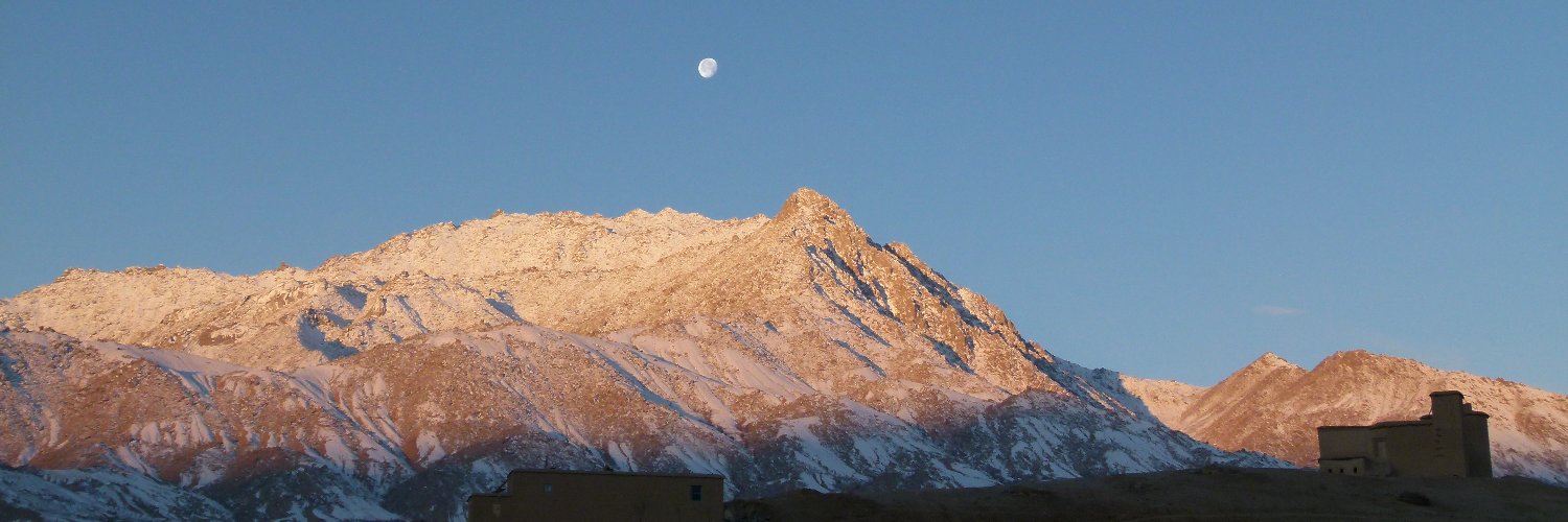 Development Today banner