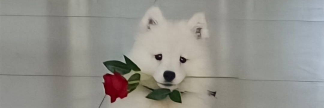 chengzf555's profile banner image