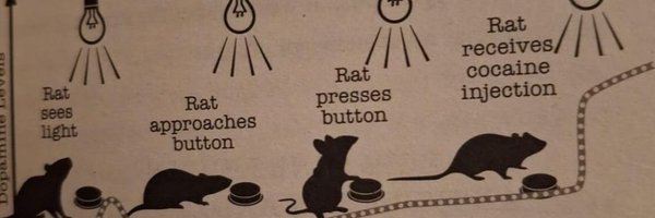 ratvisionist Profile Banner