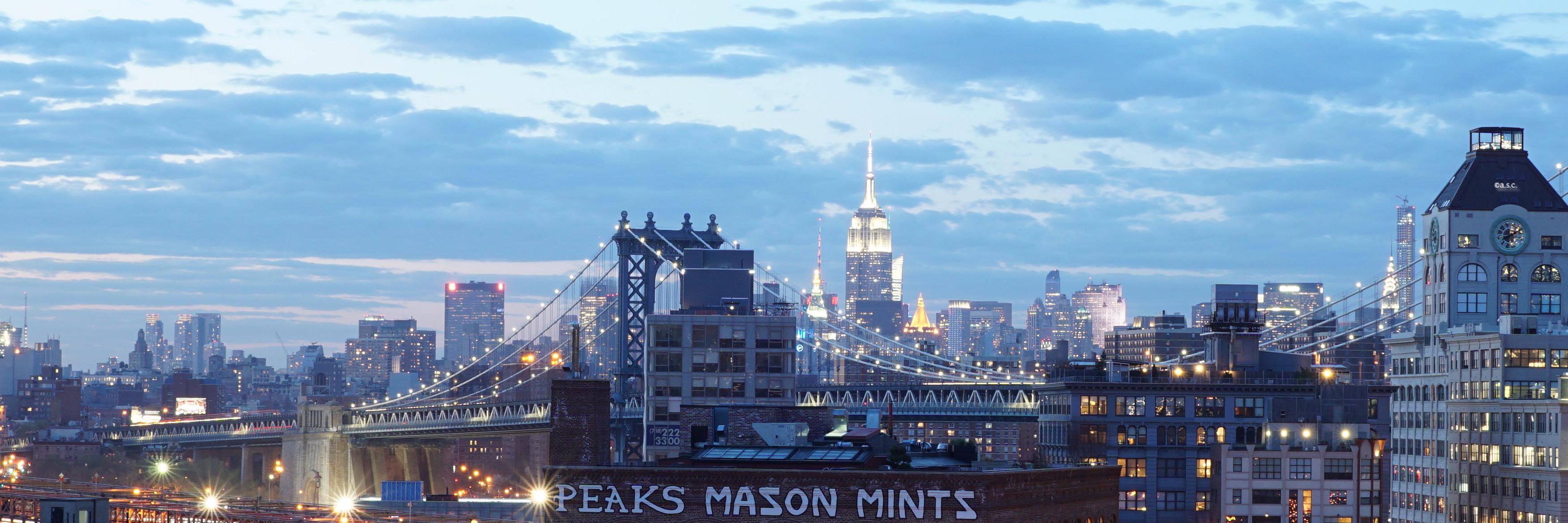Sue_NYC's profile banner image