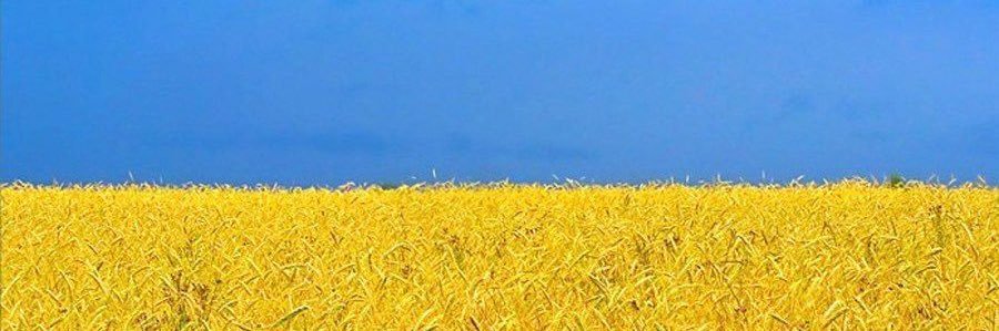 Jessica Vahtera banner