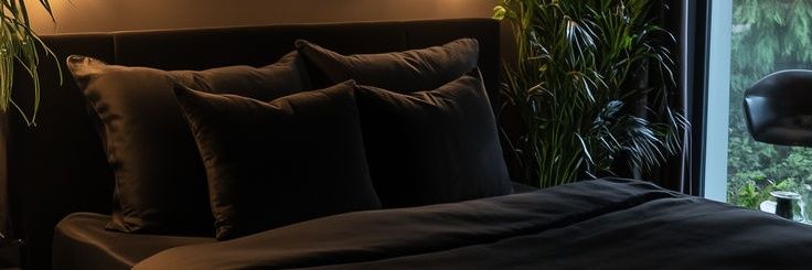 Lalapt7z's profile banner image