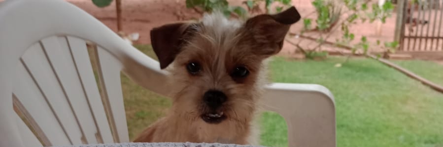 dudamedaa's profile banner image