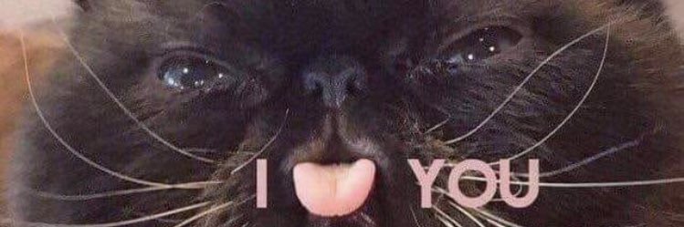 Miwors banner