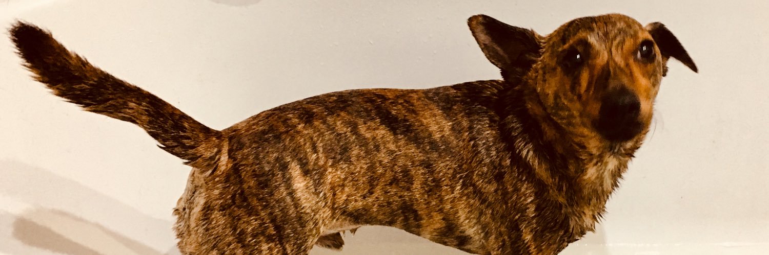 richiesyrett's profile banner image