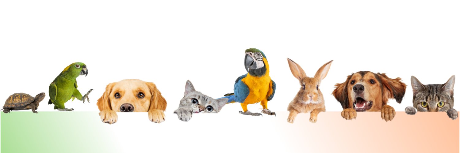 UrbanPawsIre's profile banner image