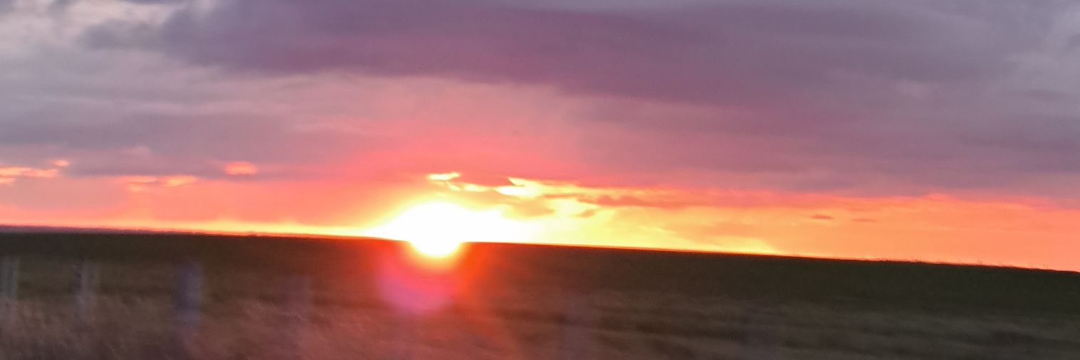 dydymh's profile banner image