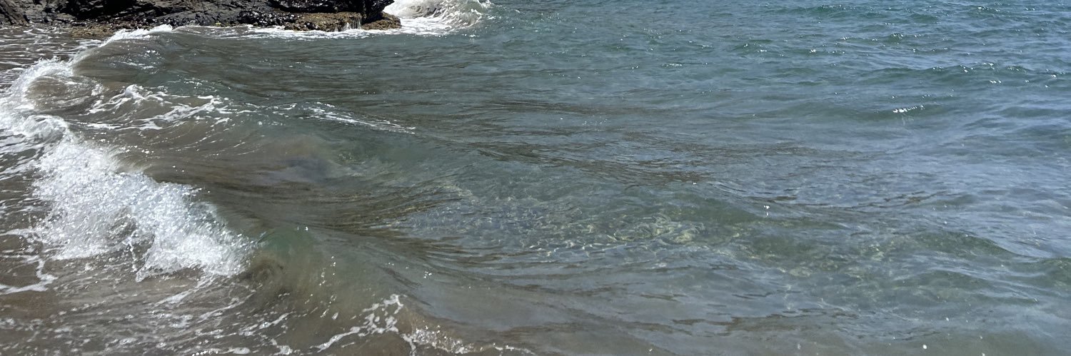 mfddzz's profile banner image