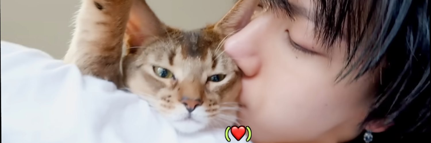 ⋆ 𝐁𝐈𝐁𝐈 ⊹ ࣪ ˖ ✿ ✿ banner