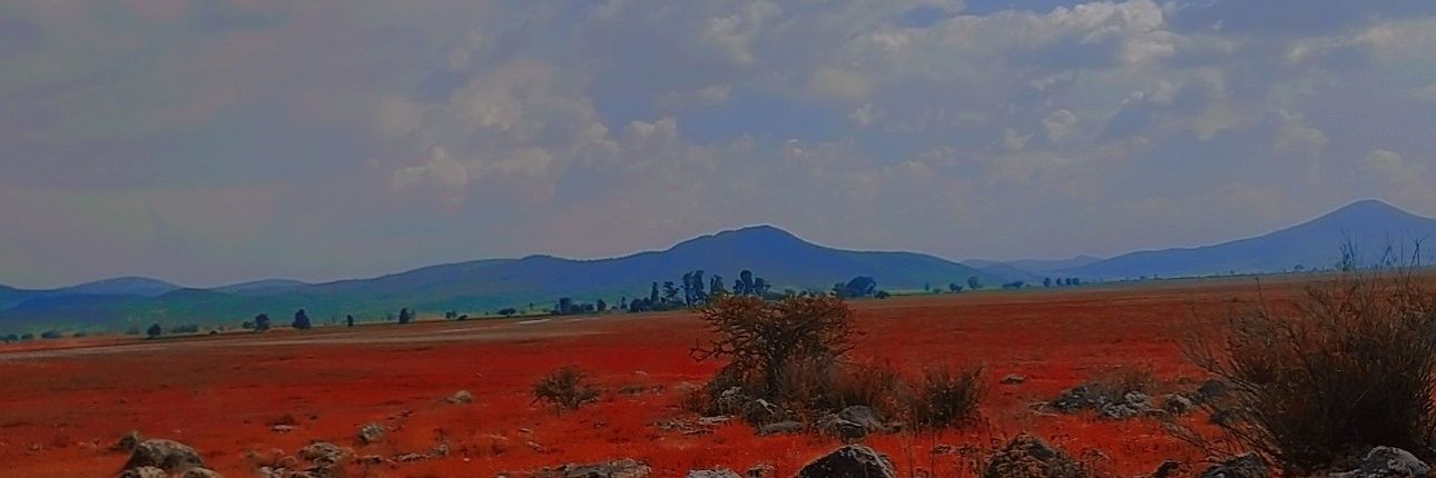 aStrangerMar's profile banner image