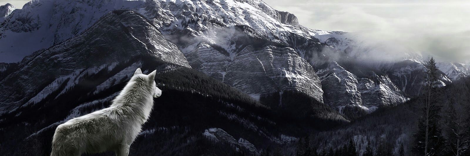 Soloflux's profile banner image