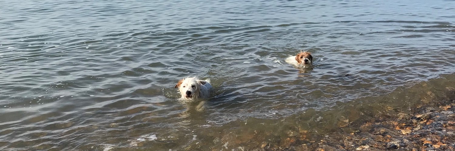 Lucy Logan Green banner