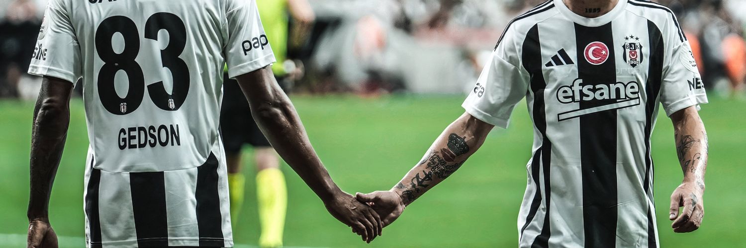 GozutokAlper's profile banner image