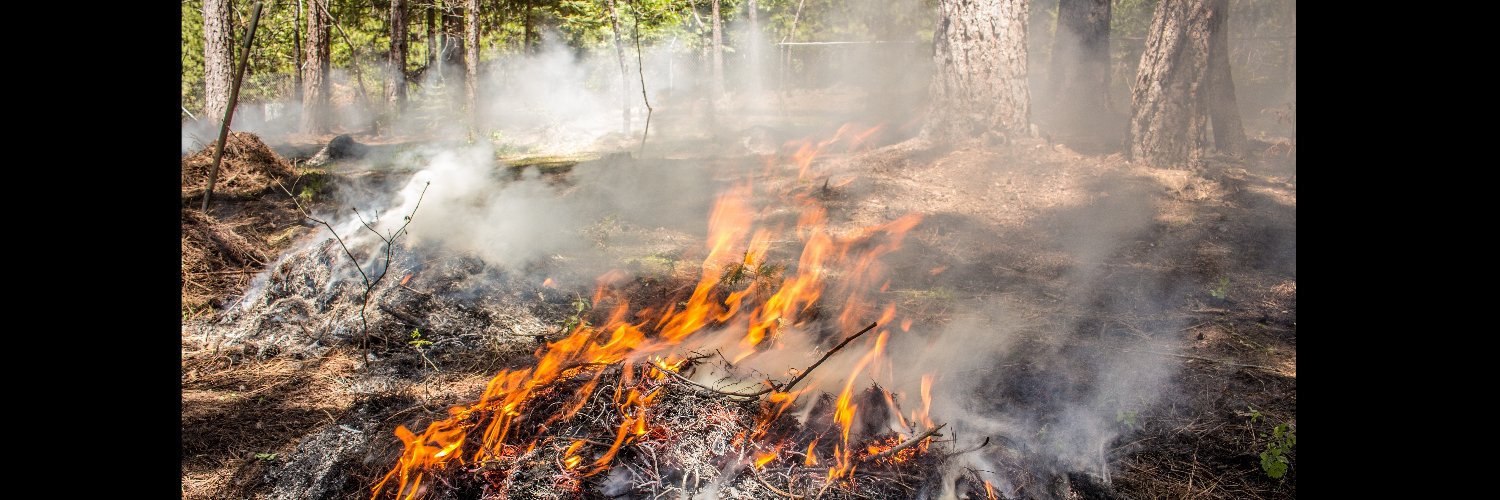 Isabeau Ottolini banner